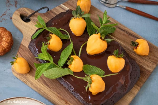 chocolate pumpkin patch brownie