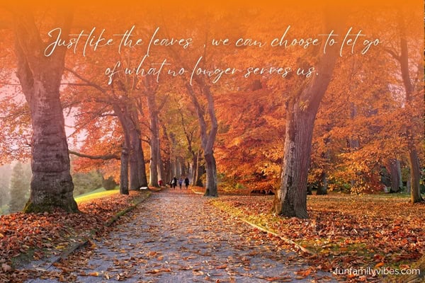 Trees and fallen leaves during fall season with quote overlay