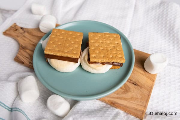 air fryer smores