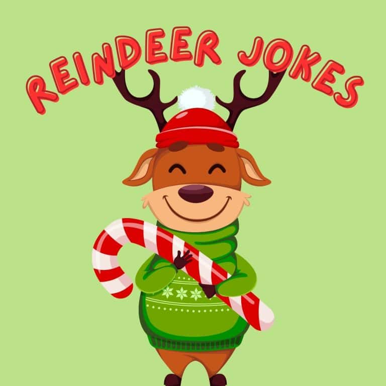 Reindeer Jokes