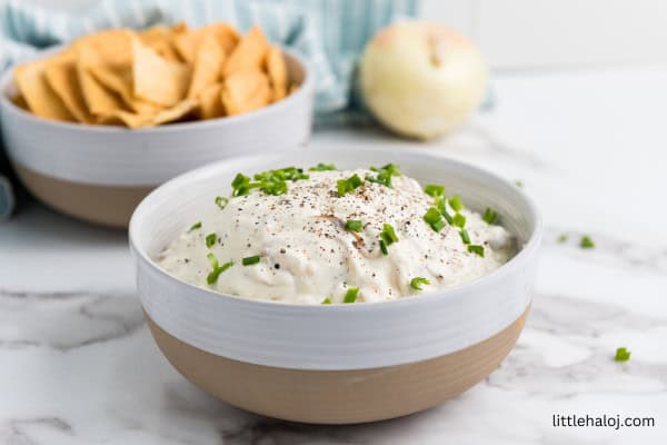 caramelized onion dip