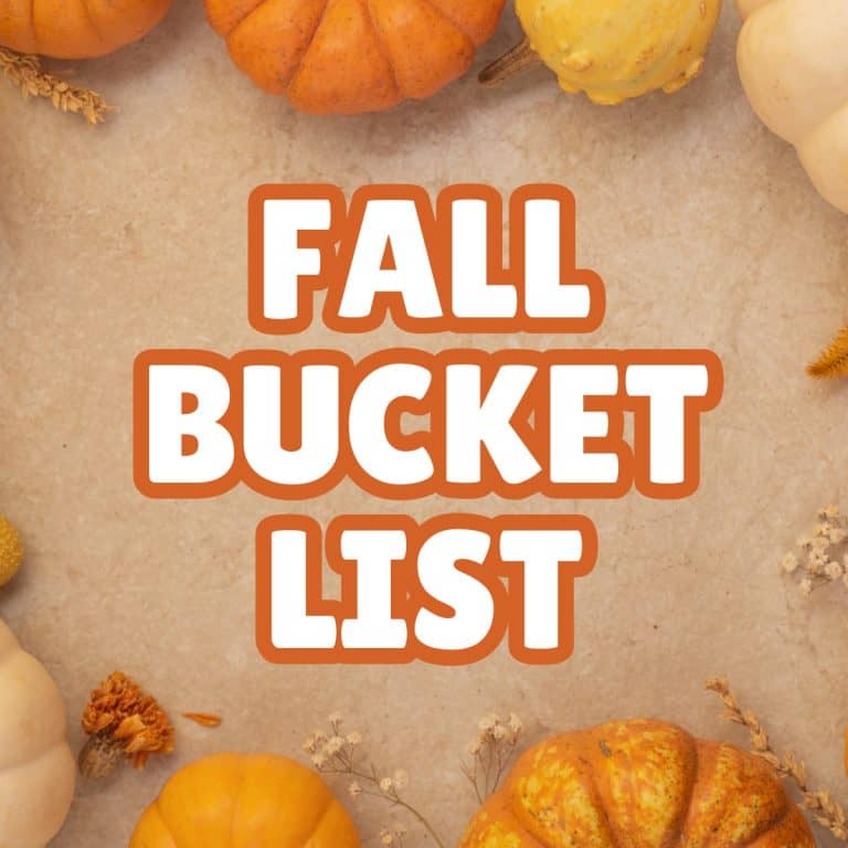 Fall Bucket List