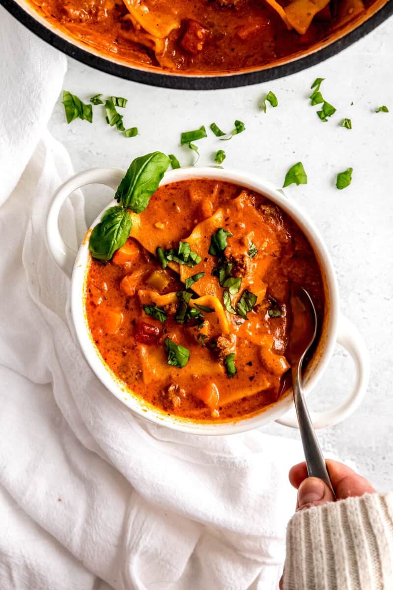easy lasagna soup