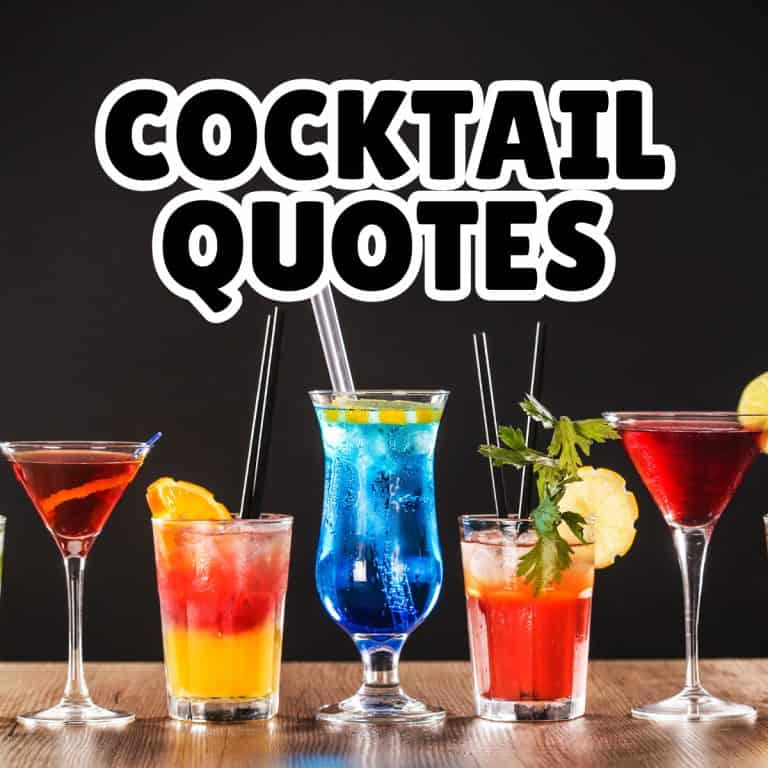 Cocktail Quotes