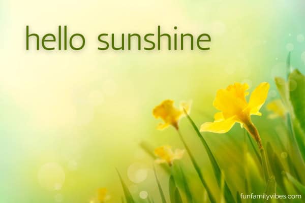 Daffodil spring background with quote overlay