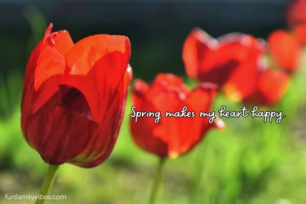 Red tulips in spring with quote overlay