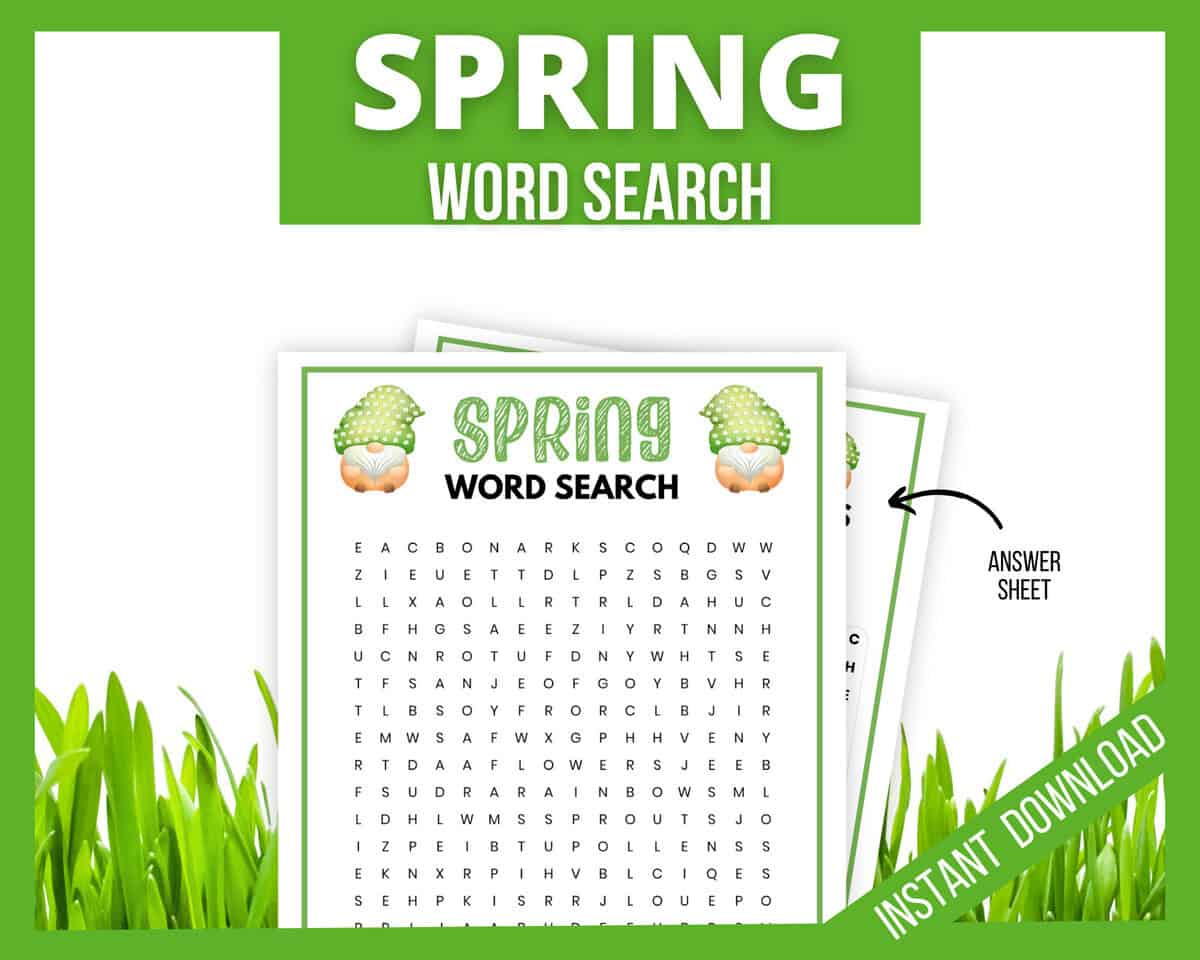 Spring word search