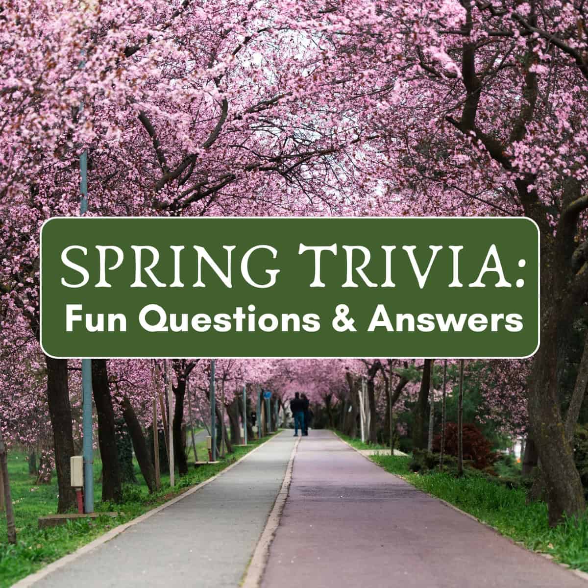 Spring Trivia: Fun Questions and Answers - Fun Family Vibes