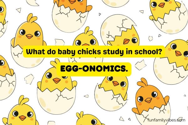 background of baby chicks on eggshells with joke overlay