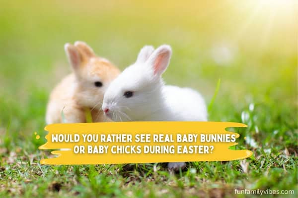 Cute baby bunnies on grass with question overlay