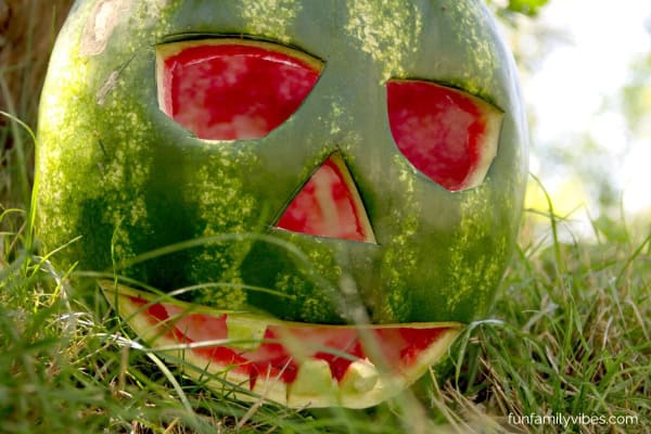 watermelon lantern